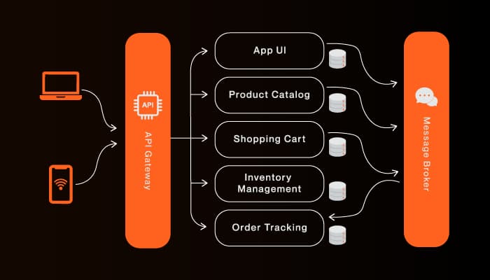Custom Web App and API Architecture
