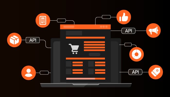 Headless E-Commerce Solutions for WordPress & Shopify